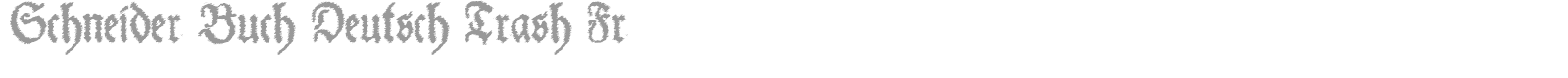 Schneider Buch Deutsch Trash font preview